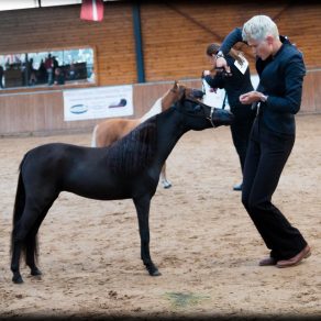 icamh-ek-2016-1-van-1-23