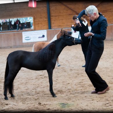 icamh-ek-2016-1-van-1-23